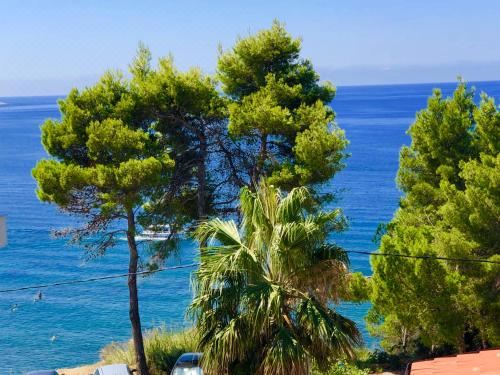 带海景豪华三人房