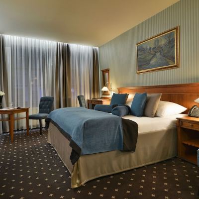 Superior Double Room Hotel Morris Česká Lípa Promo Code
