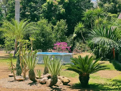 El Ranchito Surfcamp Hotels in 