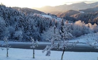 Apartment Jorsi with Mountain View - Housity