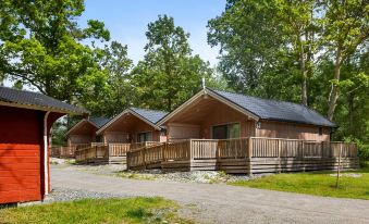 Lady Hamilton Apartments - Housity