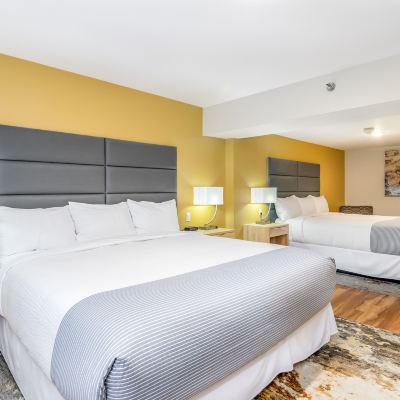 Room with Two King Beds Grey Fox Inn Promo Code