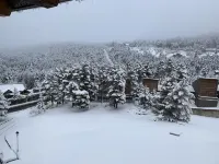 Cozy apartment in La Molina