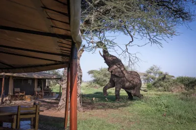Mawe Luxury Tented Camp Hotels in 