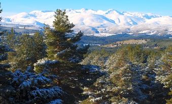 a snow - covered mountain range with trees in the foreground and a clear blue sky above at Parador de Gredos