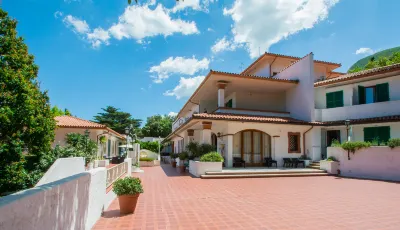 Seebay Hotel Hotels in 