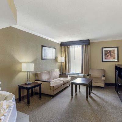 Suite-1 King Bed, Non-Smoking, High Speed Internet Access, Whirlpool, Sofabed, Microwave and Refrigerator