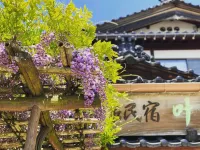 Japanese-Style Hot Spring Resort Kano