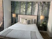 Brand New Townhome in Downtown Westminster