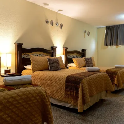 Hostal Donde Regina Hotels near Zona 12