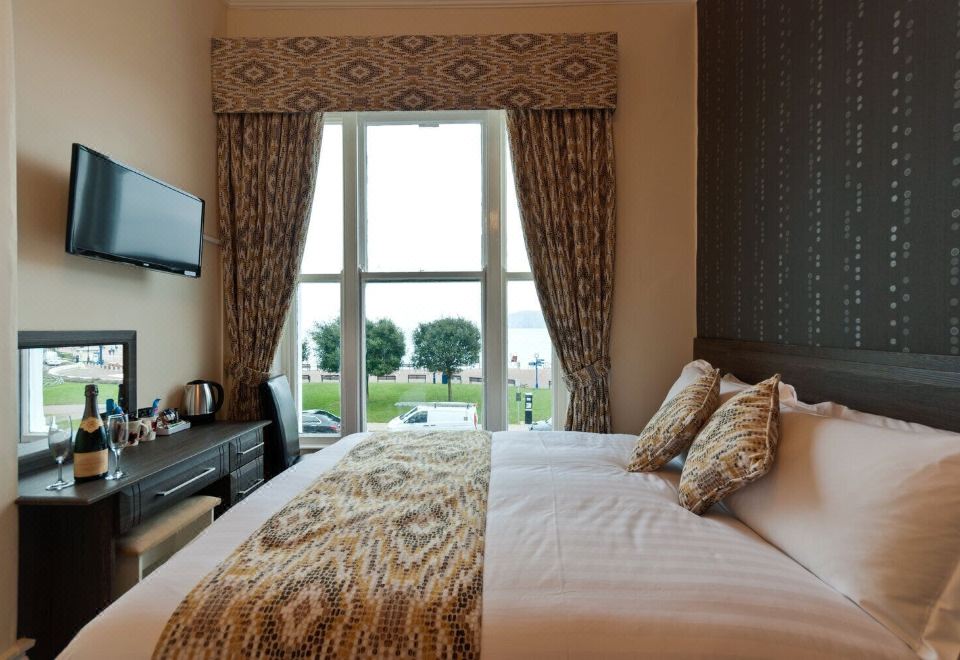 初级双人房，1张双人床，海景