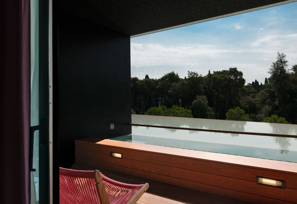 豪华房（带小型泳池） 禁烟