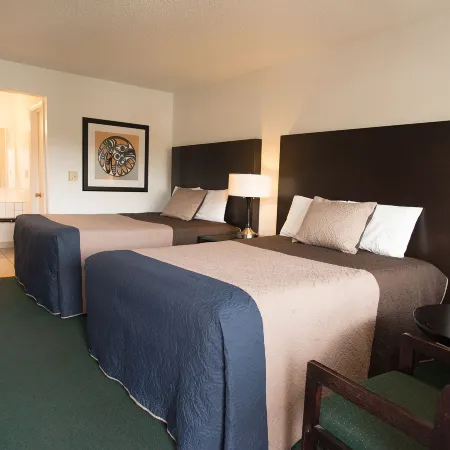 Cougar Land Motel Отели в г. Пулман