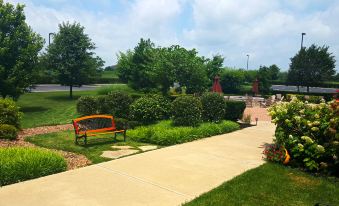 a paved walkway surrounded by green grass and bushes , with a bench placed near the entrance at Hilton Garden Inn Lexington/Georgetown