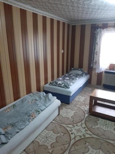 经济型三人房 共用浴室