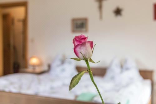 高级两卧室公寓