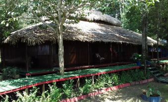 Amazon Island Jungle Lodge