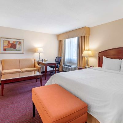 套房-1 張特大床 貝斯特韋斯特優質西科維納酒店優惠