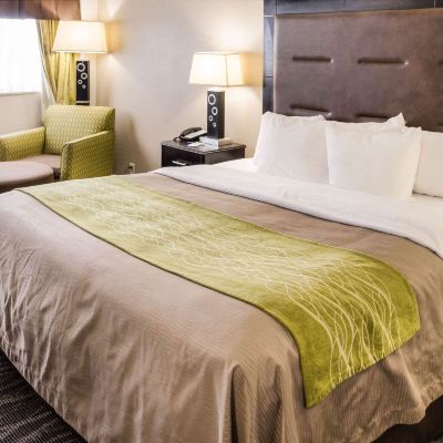 Standard King Room - Non-Smoking Comfort Inn Downtown Charleston Promo Code
