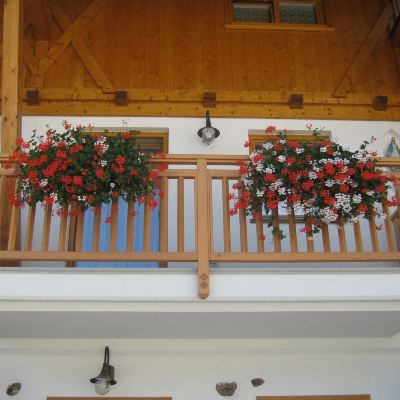 Quadruple Room Agriturismo Pisani Promo Code
