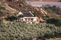 Orange Grove