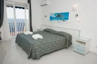 Hotel Weber Ambassador