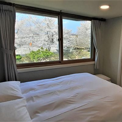 베이직 스튜디오 Hotel Jirisan Sunlight 쿠폰