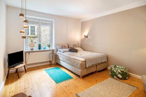 高级一卧室公寓