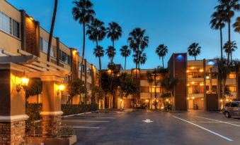 an exterior view of a hotel with palm trees lining the street , illuminated by street lights at night at Best Western Plus Carriage Inn