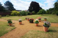 Greyfriars Lodge Canterbury Отели в г. 