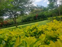 Eden Park Lounge Hoteles en Central