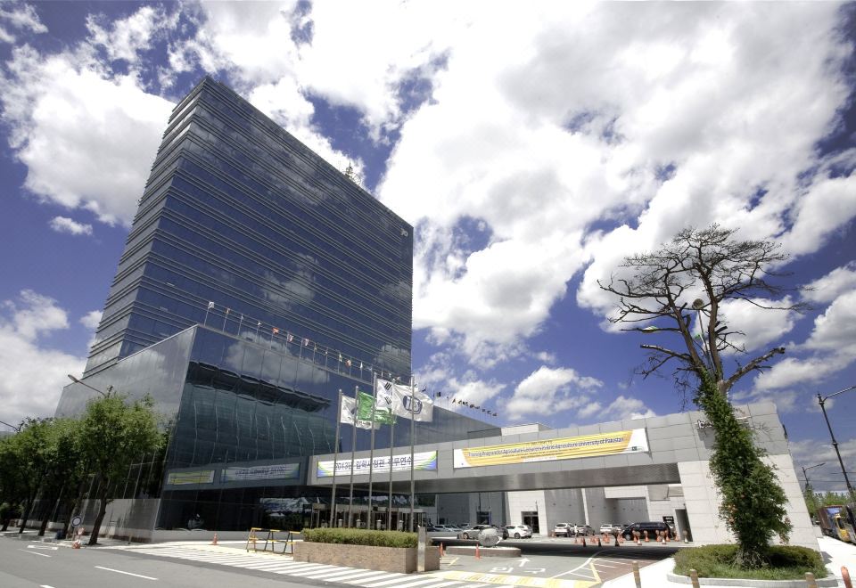 인터불고 엑스코