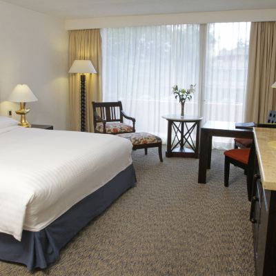 King Executive Junior Suite with Executive Lounge Access