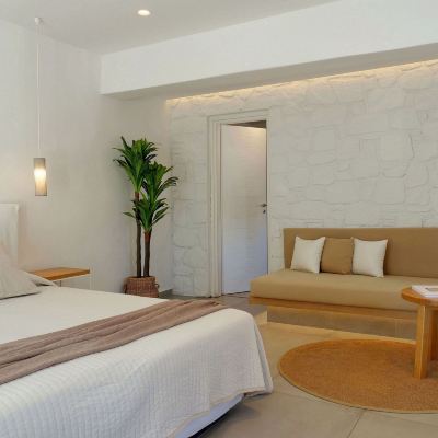 Junior Suite with Garden View Andronikos Hotel Promo Code