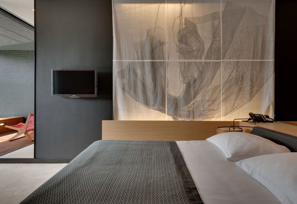 豪华房（带小型泳池） 禁烟