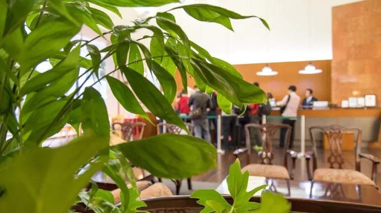 サンパレスホテル 食事・レストラン