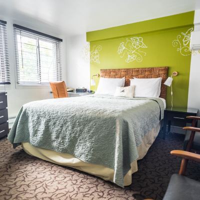 Room, Annex Building (23) McGee's Inn Promo Code