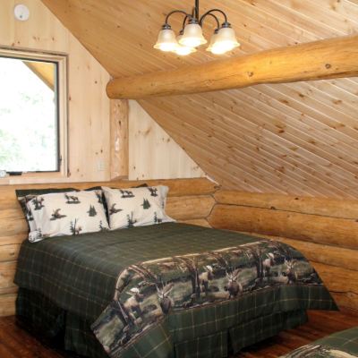 Anchor Point Captain Cook Lodge Bear Paw Adventure Promo Code