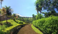Hotel Mango Valley Hotels in 