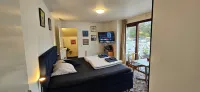 Olsson B&B Hotels in 
