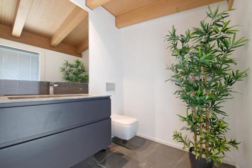 高级两卧室公寓