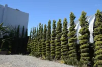 Hotel Pacific