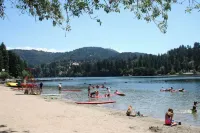 1940s Storybook Knotty Pine Cabin in Crestline, Absolute Privacy