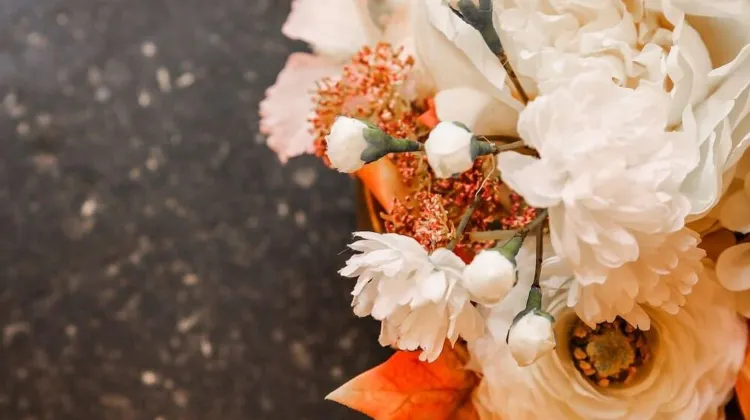 ル プチ テルトル 食事・レストラン