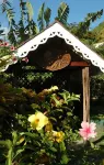 Frangipani Hotel Hotels in 