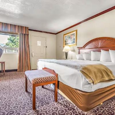 King Studio Suite-Non-Smoking Red Arrow Inn & Suites Promo Code
