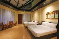 Jonas and Twins Resort Hotels in 