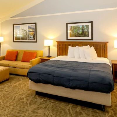 King Room-Non-Smoking Big Sur Lodge Promo Code