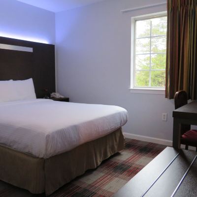 Suite,Queen,Sofa Bed Luxbury Inn & Suites Promo Code