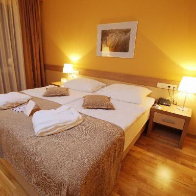 Double Standard Double Room Without Balcony Terme Olimia - Hotel Breza Promo Code